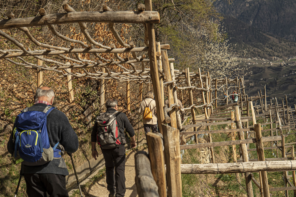 Waalvege Marlengo (8).jpg